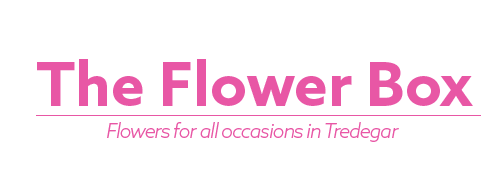 The Flower Box in Tredegyr
